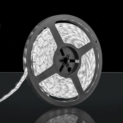 STEDI - LED STRIP LIGHT 12V WATERPROOF 5M ROLL